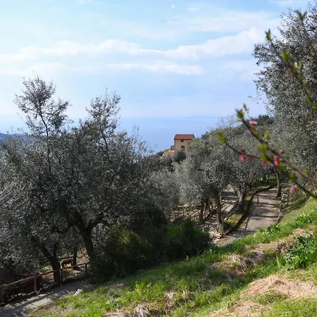 Casale Del Nonno Σορέντο